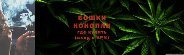 Альфа ПВП Лиски
