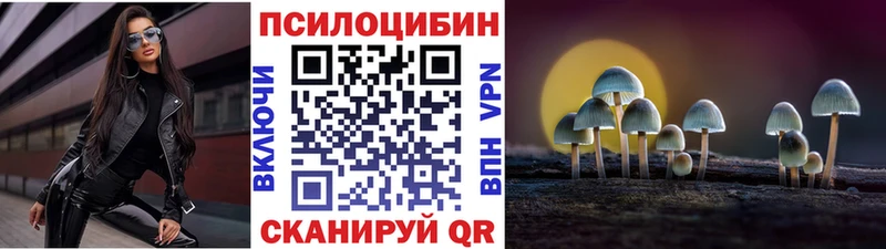 Купить закладки  Коломна  Псилоцибиновые грибы GOLDEN TEACHER 